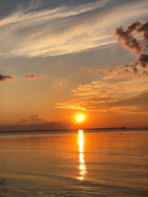Apartament studio, Mamaia